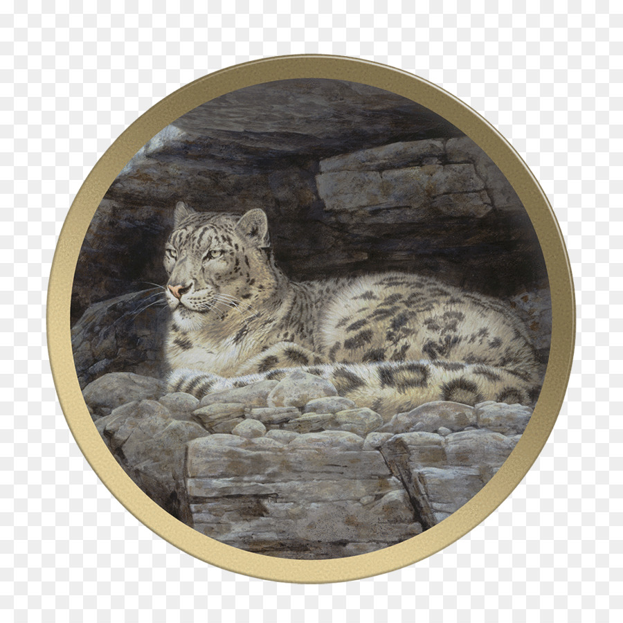 Leopard，Felidae PNG