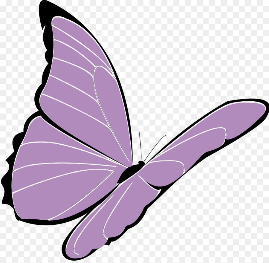 Papillon，Ailes PNG