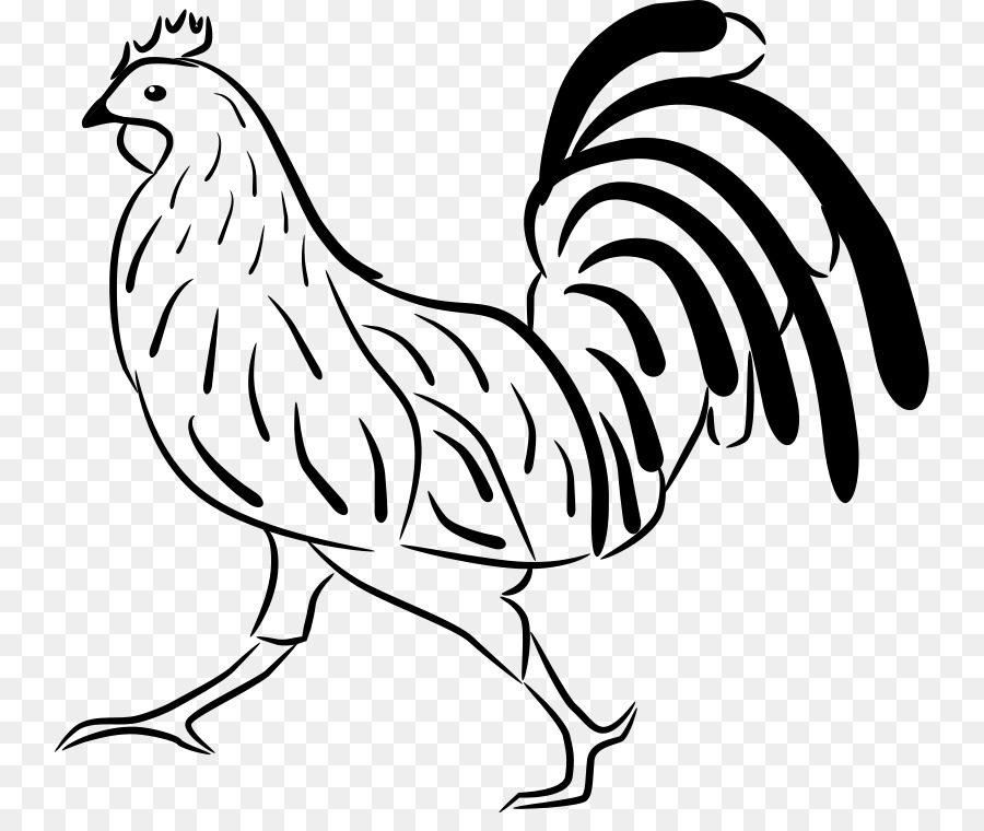 Poulet，Poule PNG