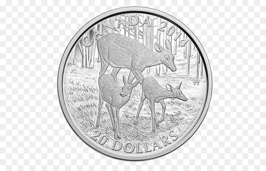 Pièce De Monnaie，Canada PNG