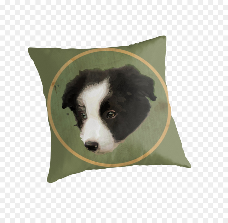 Oreiller，Border Collie PNG