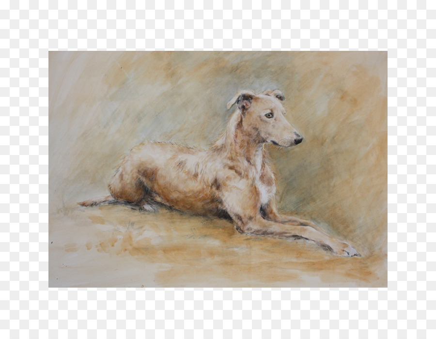 Chien，Peinture PNG