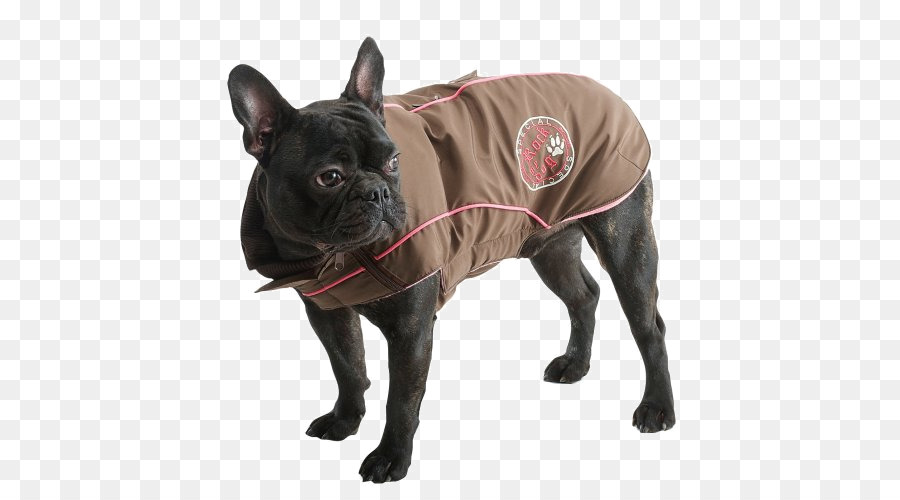 Bouledogue Français，Bouledogue PNG