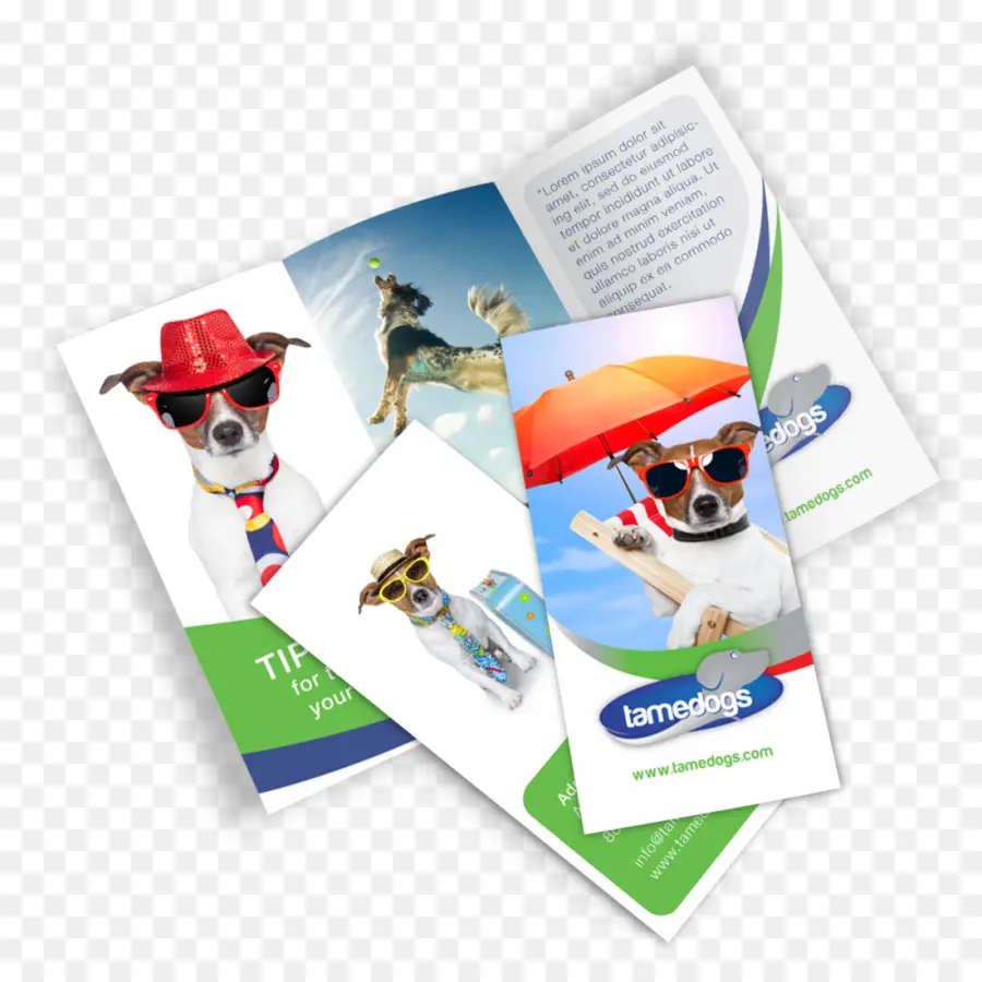 Brochures，Dépliants PNG