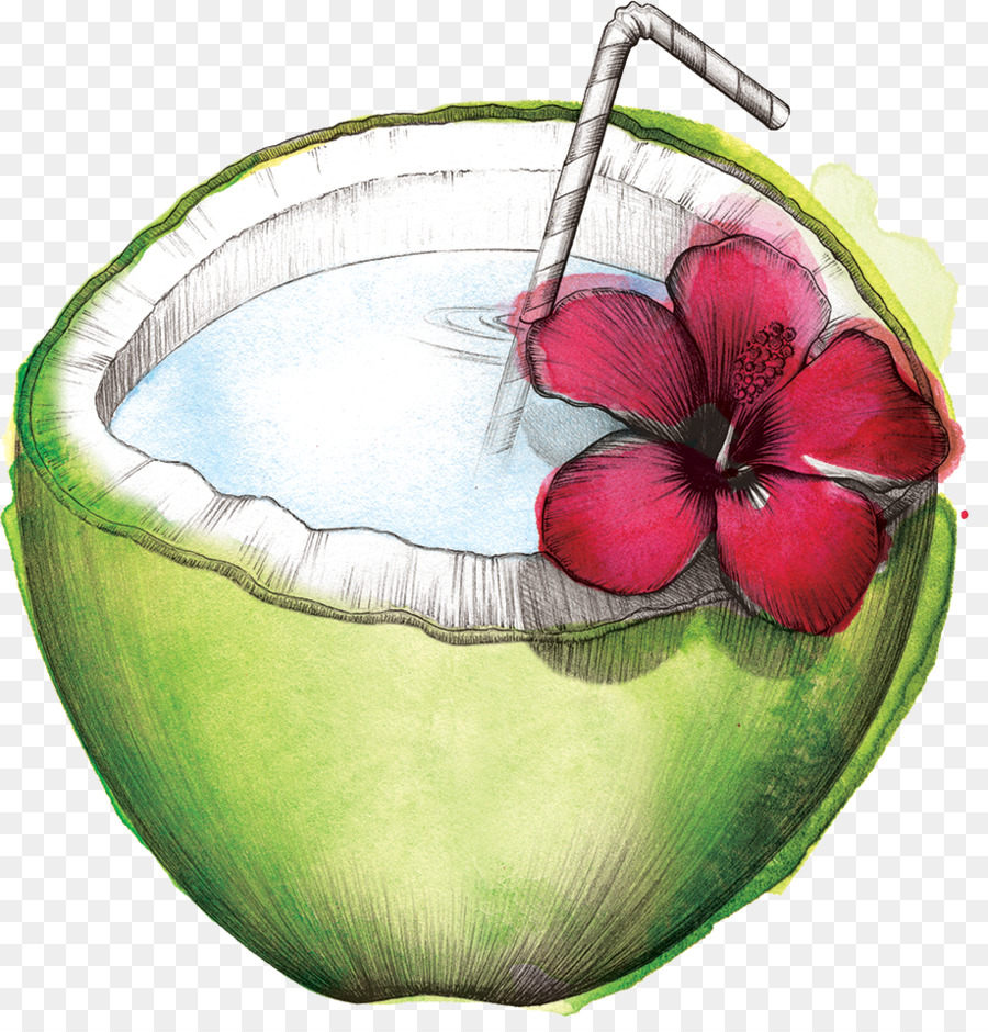 La Pastèque，Eau De Noix De Coco PNG