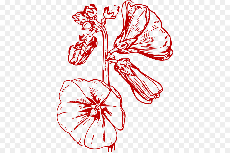 Fleur，Floraison PNG