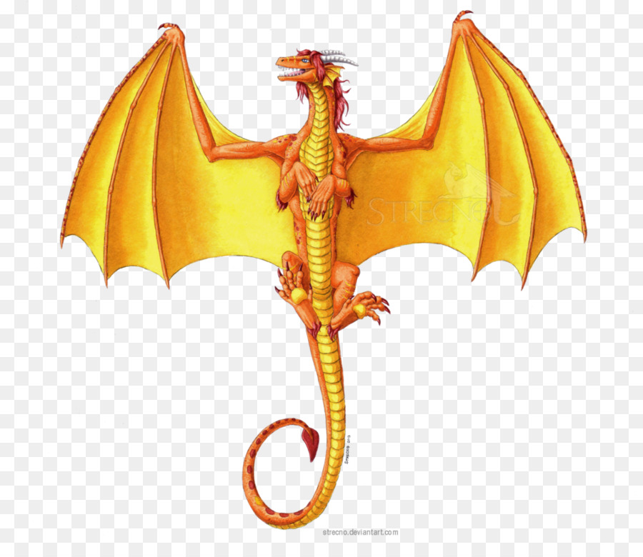 Dragon，Stre PNG