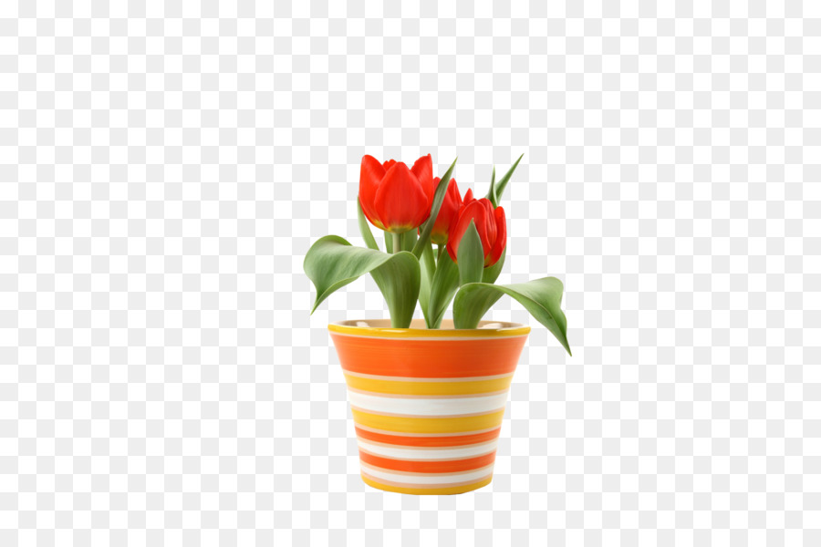 Flowerpot，Soucoupe PNG