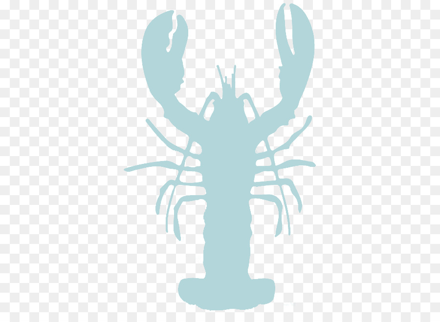 Pot De Homard，Homard PNG