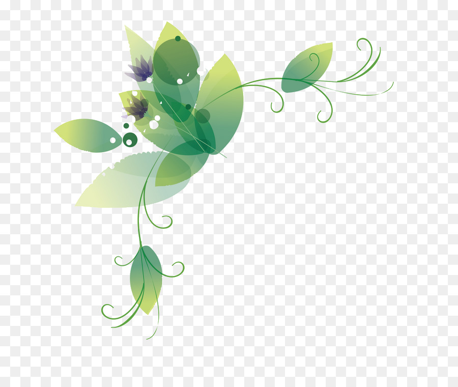 Plante Abstraite，Feuilles PNG