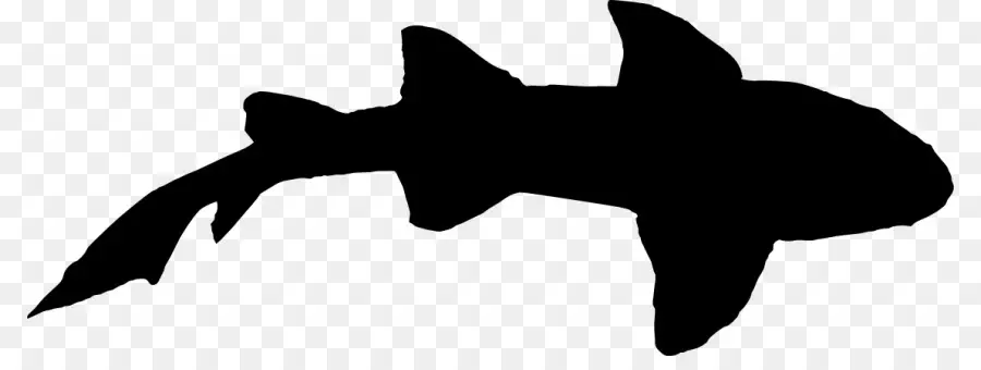 Requin，Silhouette PNG