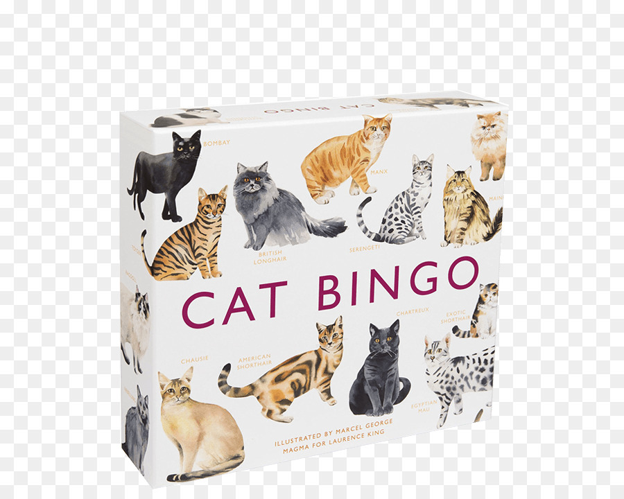 Chat De Bingo，Chat Siamois PNG