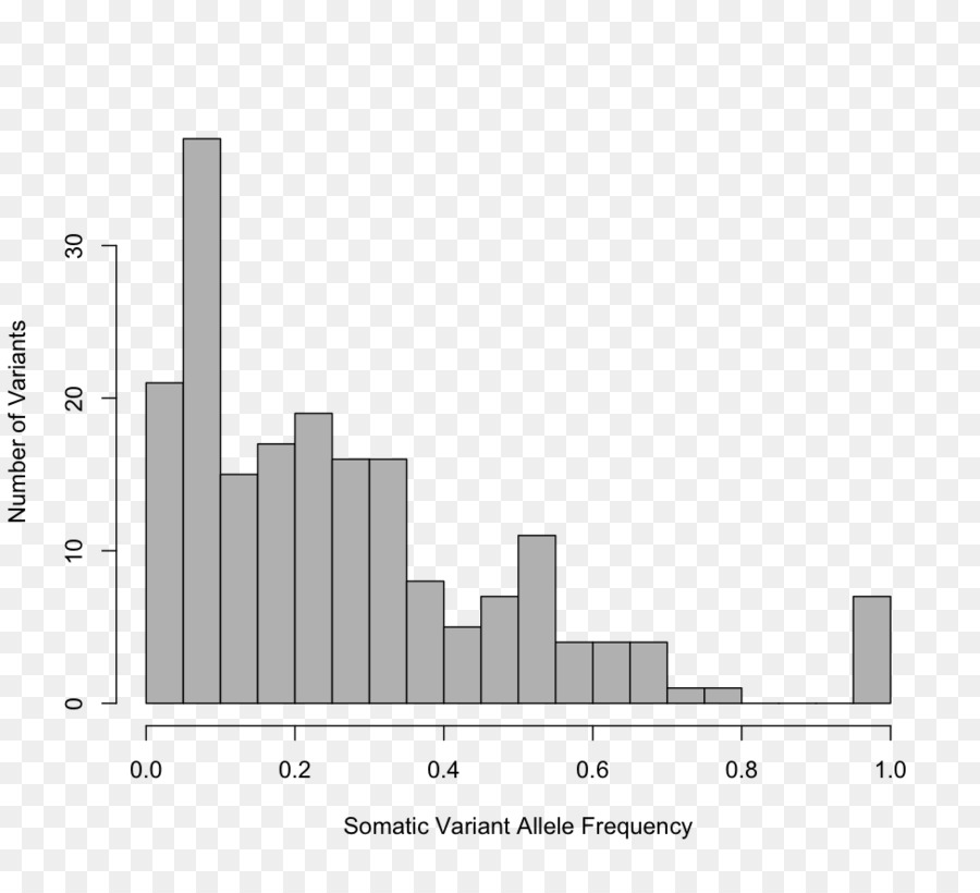 La Fréquence De L Allèle，L Allèle PNG