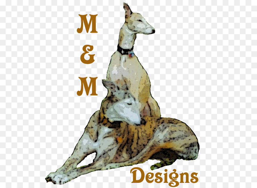 Whippet，Greyhound PNG