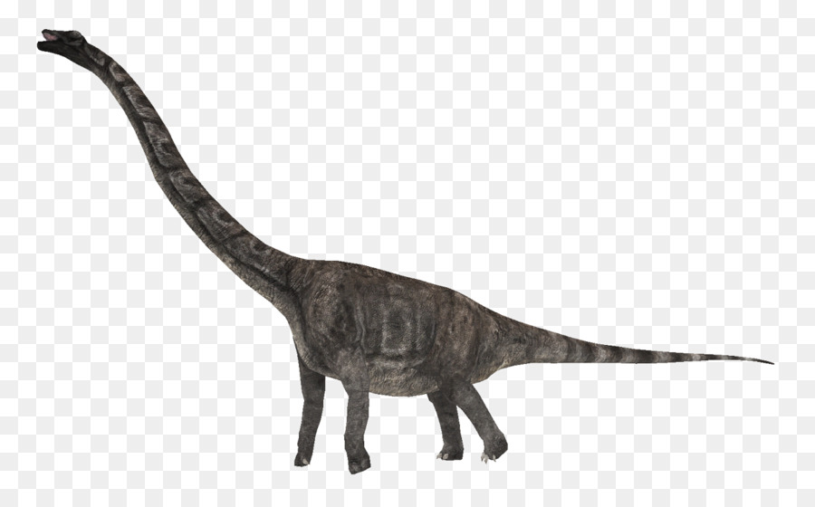 Dinosaure à Long Cou，Préhistorique PNG