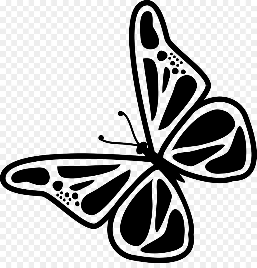 Papillon，Insecte PNG