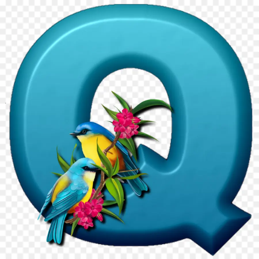 Lettre Q Avec Des Oiseaux，Alphabet PNG