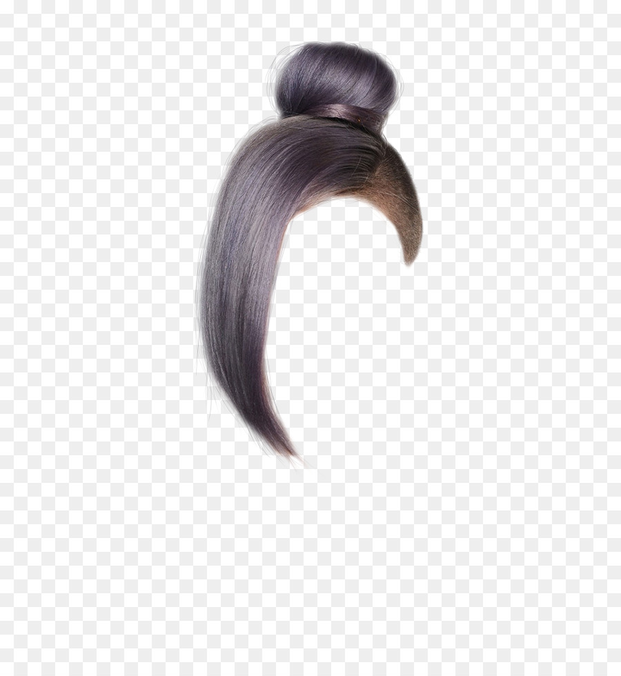 Perruque，Coloration Des Cheveux PNG