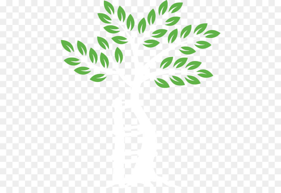 Arbre，Feuilles PNG