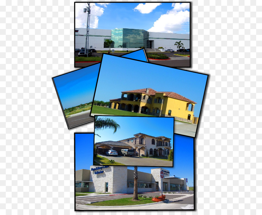 District Scolaire Indépendant De Laredo，Jorge Ramos Agent Immobilier à Lula Morales Realty Inc PNG
