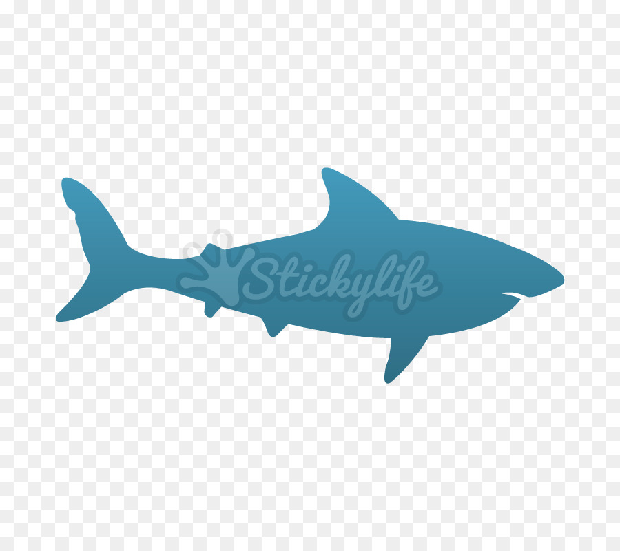 Requin，Requiem Requins PNG