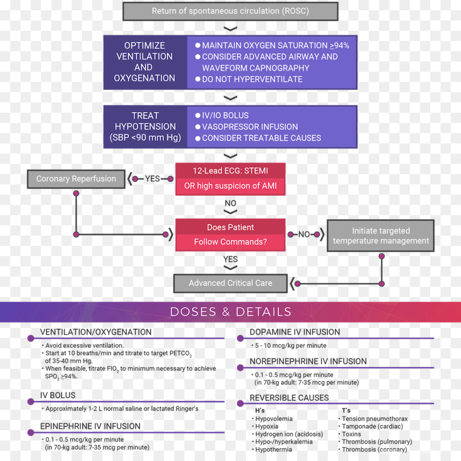 Dossier Médical，Organigramme PNG