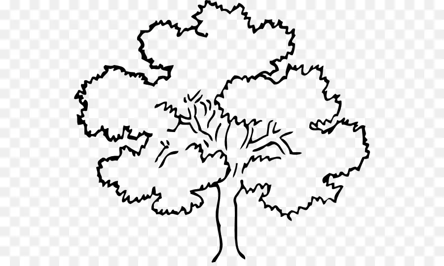 Arbre，Dessin PNG