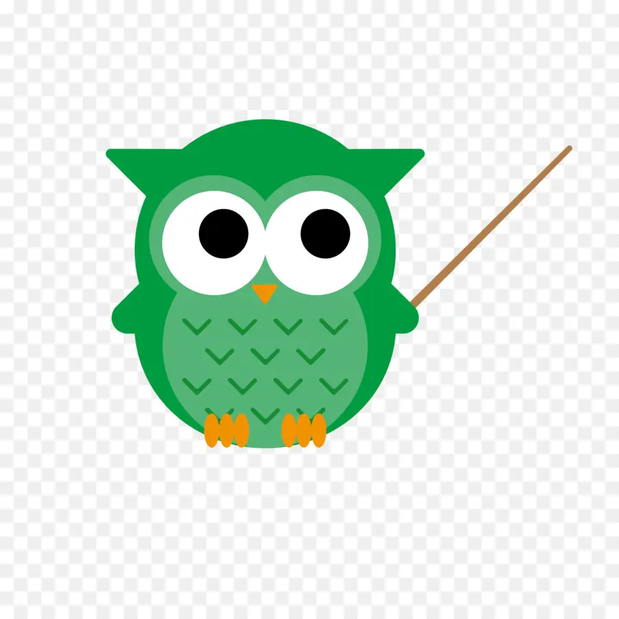 Chouette Verte，Hibou PNG