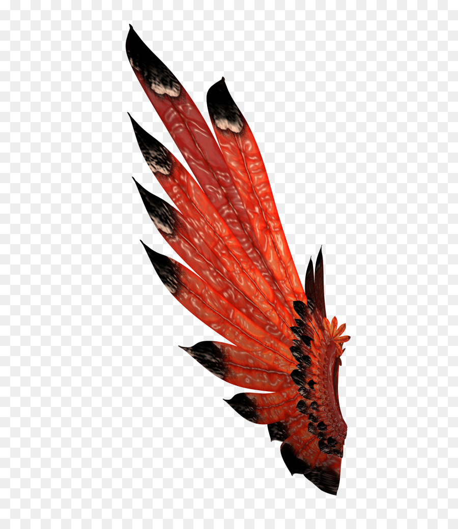 Aile Rouge，Plume PNG