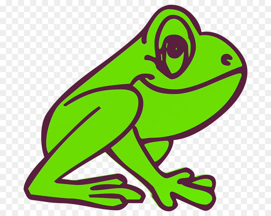 Grenouille Livre De Coloriage Rainette Png Grenouille Livre De Coloriage Rainette Transparentes Png Gratuit