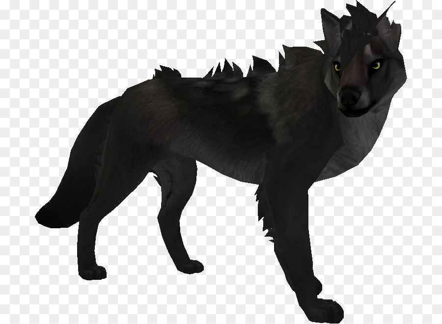 Race De Chien，Renard Rouge PNG