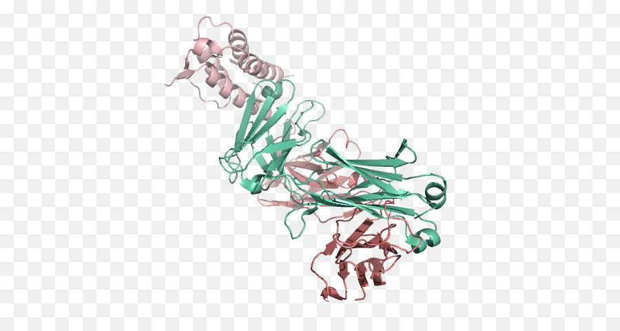 Structure Des Protéines，Molécule PNG