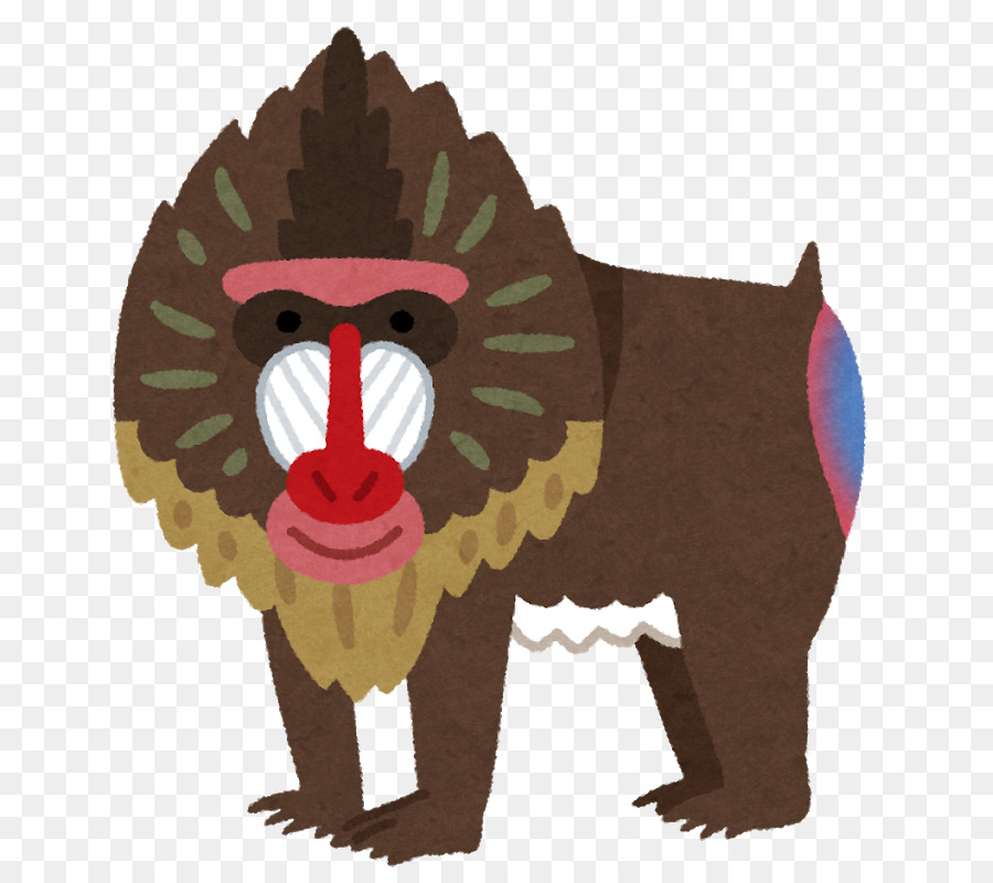 Mandrill De Dessin Animé，Singe PNG