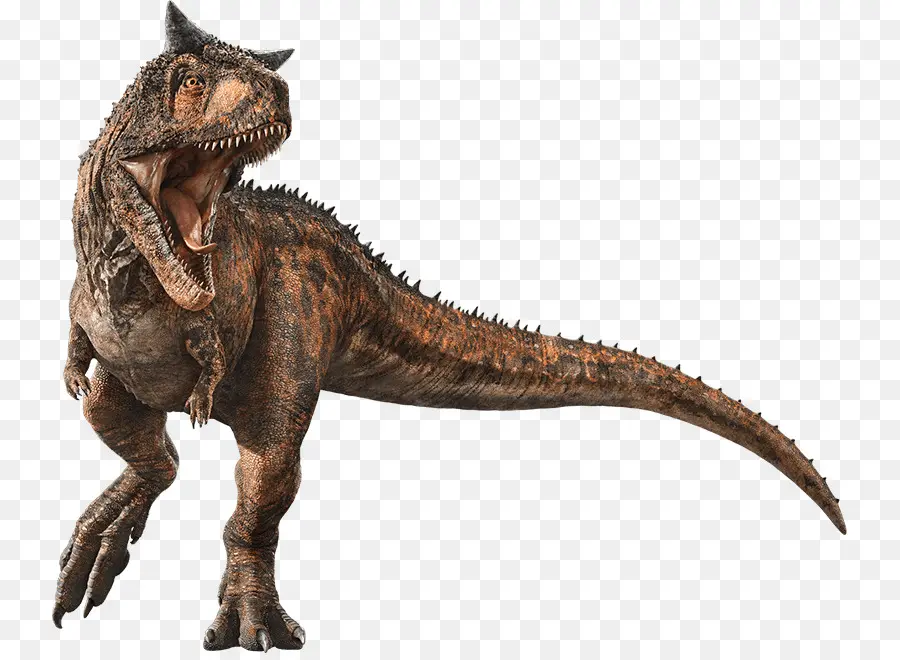 Velociraptor，Le Tyrannosaure PNG