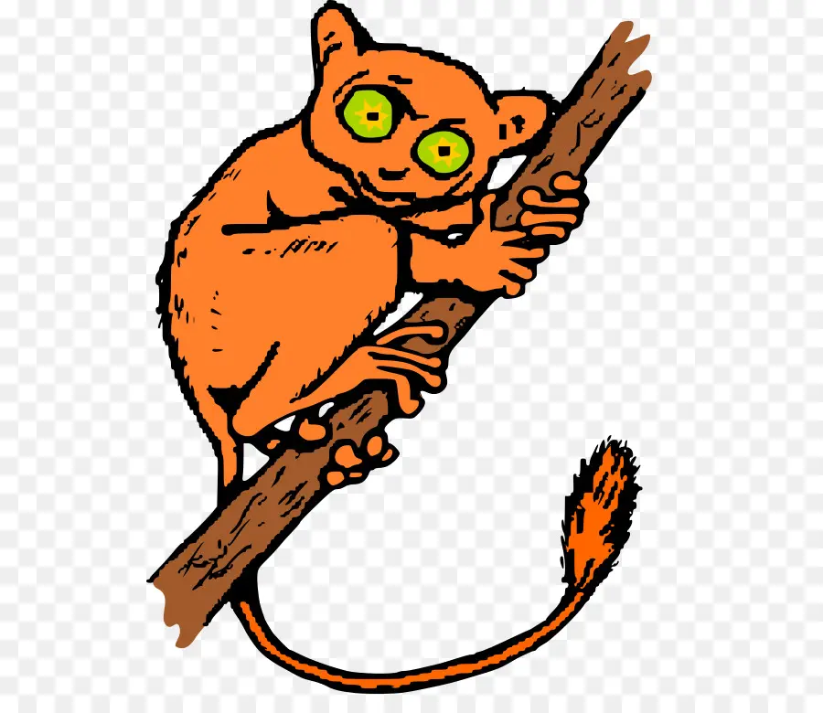 Animal De Dessin Animé Orange，Bifurquer PNG