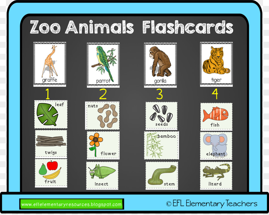 Cartes Mémoire Des Animaux Du Zoo，Animaux PNG