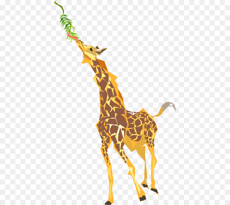 Girafe，Manger PNG