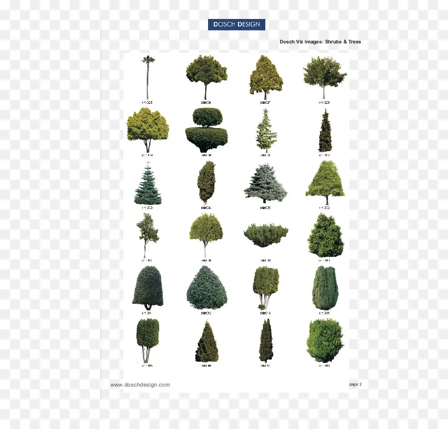 Plantes，Arbres PNG