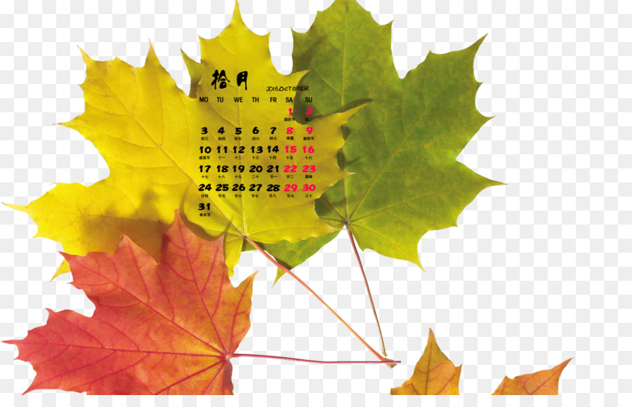 Calendrier Des Feuilles，Automne PNG