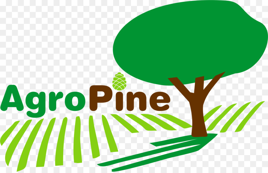 Arbre，Marque PNG