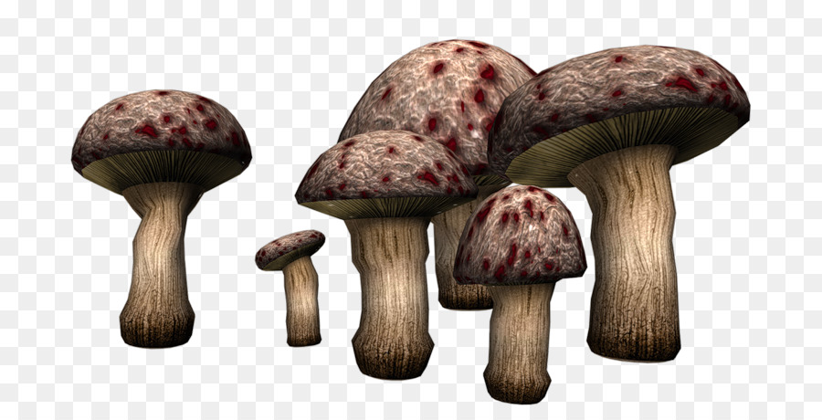 Champignons，Grappe PNG