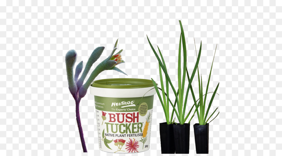 Flowerpot，Jardin PNG