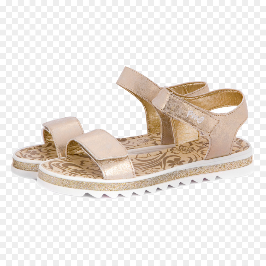 Diapositive，Chaussure PNG