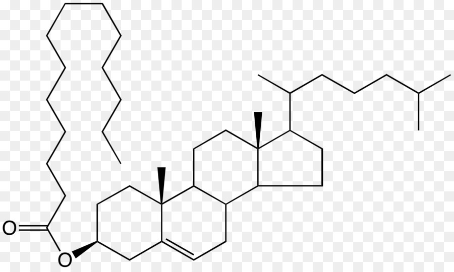 Le Sulfate De Déhydroépiandrostérone，La Déhydroépiandrostérone PNG