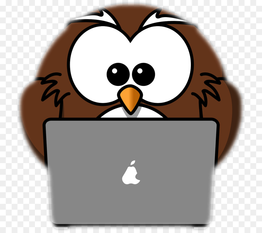 Hibou，Ordinateur Portable PNG