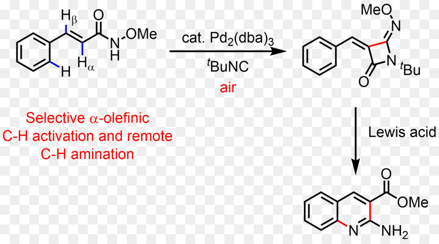 Benzimidazole，Carbonhydrogen Lien D Activation PNG