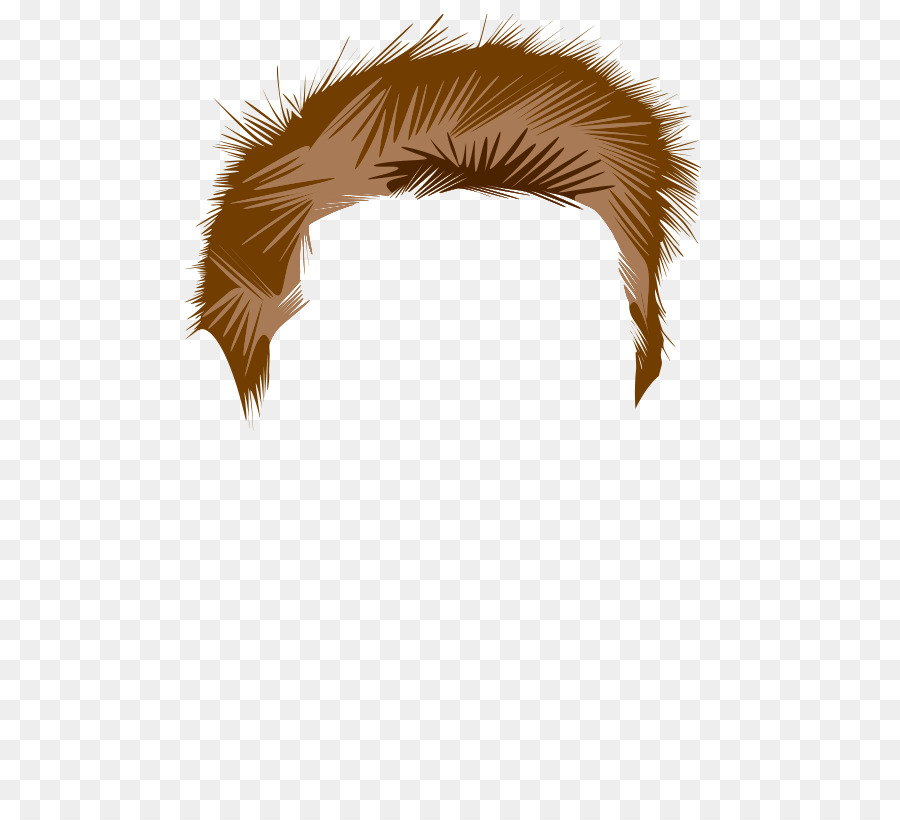 Cheveux Bruns，Coiffure PNG