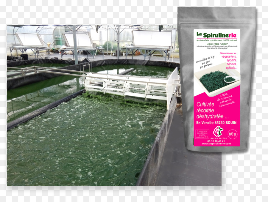 Les Ressources En Eau，La Spiruline PNG