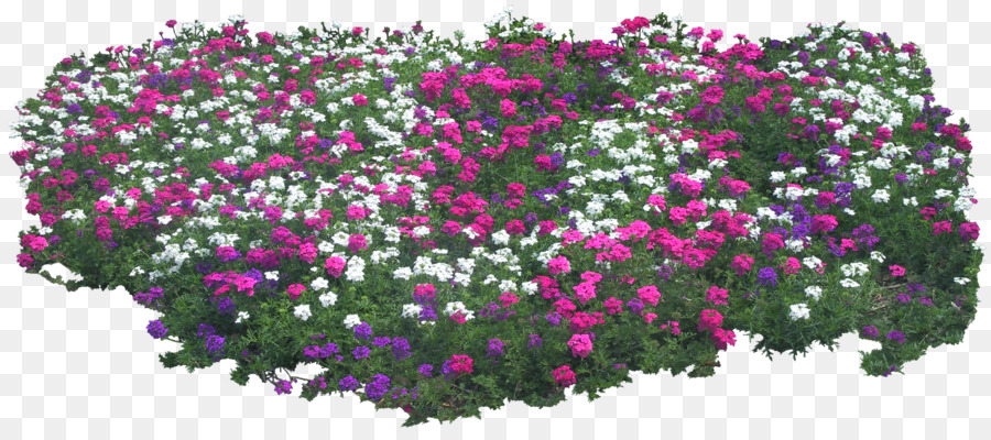 Fleur，Le Jardin Des Fleurs PNG