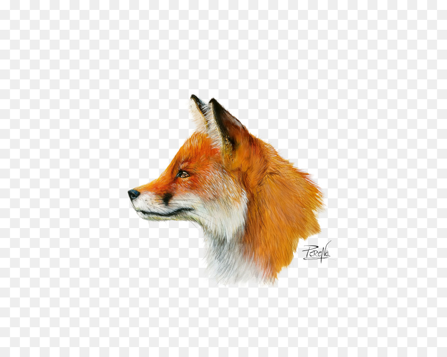 Renard，Affronter PNG